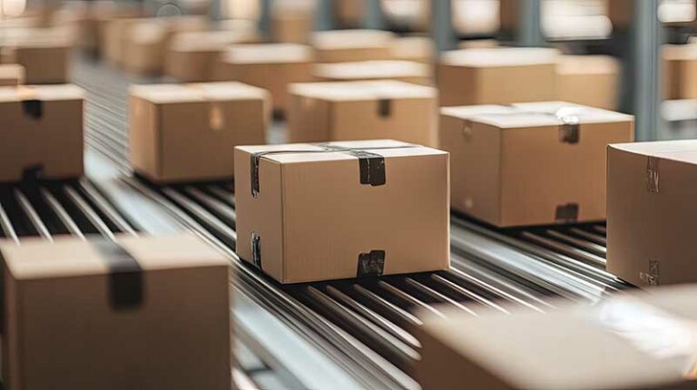 Cardboard boxes moving on a conveyor line, illustrating packaging production and handling requirements.